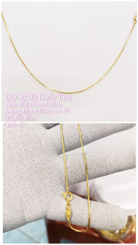 Dây mì nữ_Mã 01